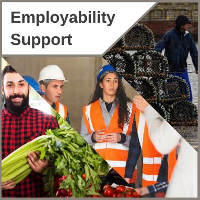Employability Support
